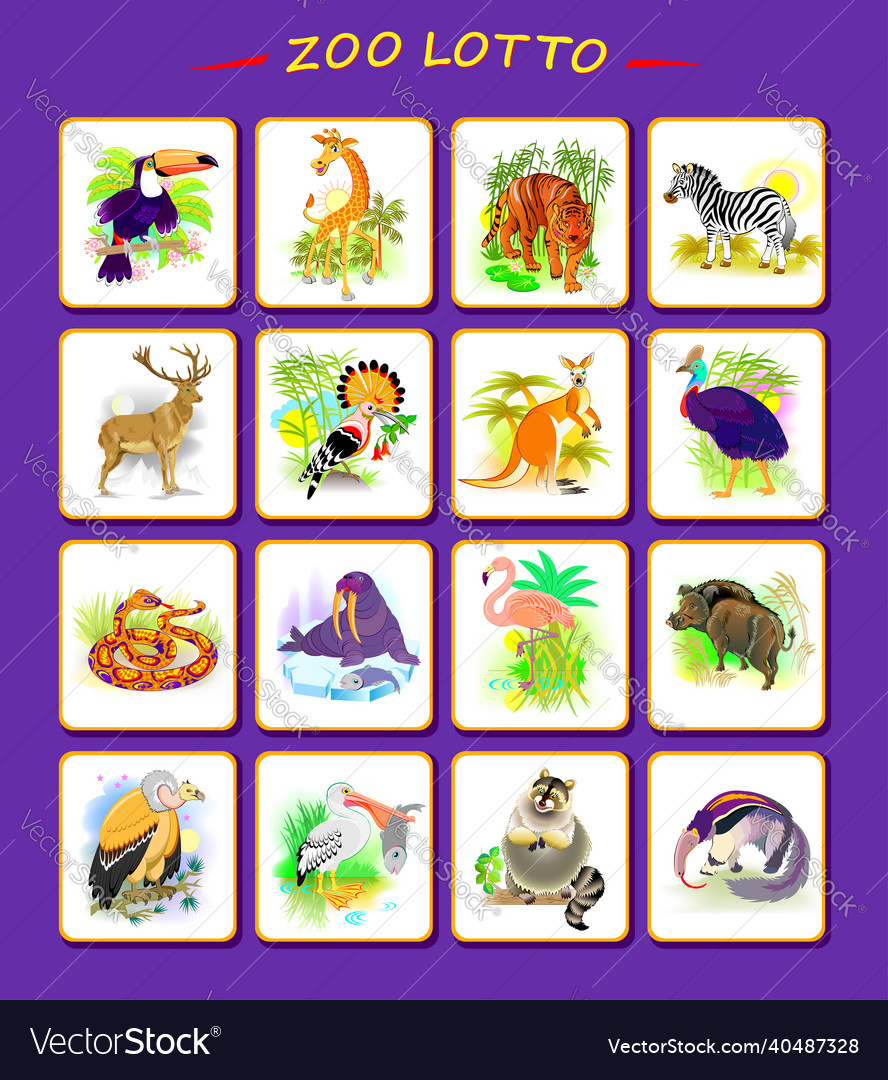 Set of zoo animals playing cards for kids vector image Set of zoo animals playing cards for kids