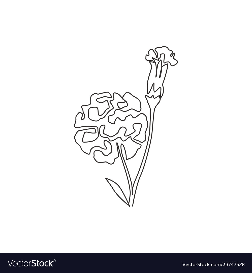 Single Continuous Line Drawing Beauty Fresh Vector Image