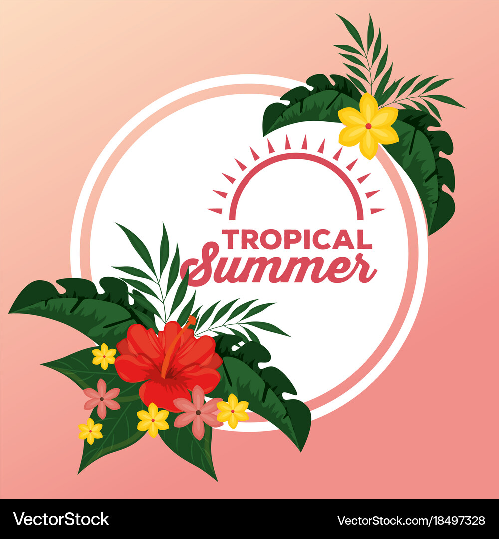 Summer tropical background Royalty Free Vector Image