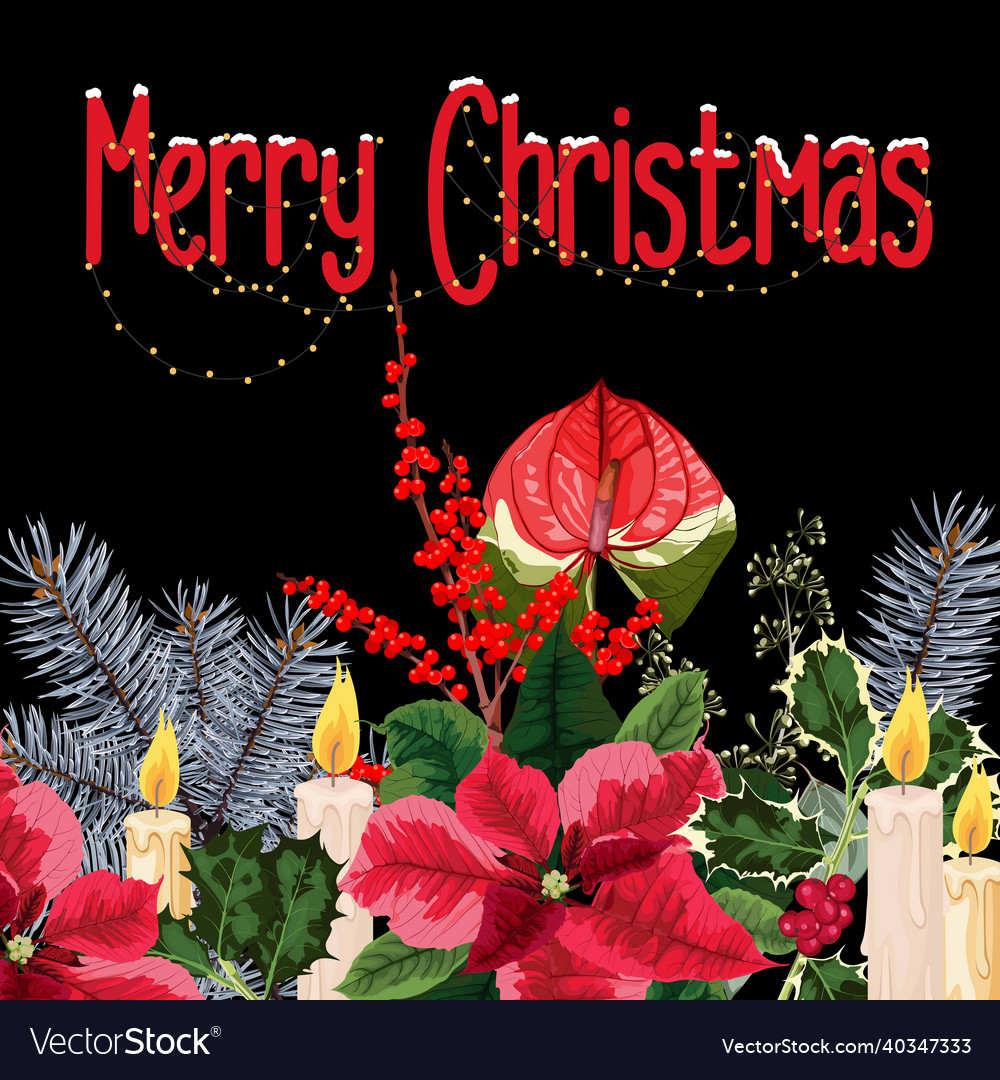 Christmas greeting card with festive plants Vector Image