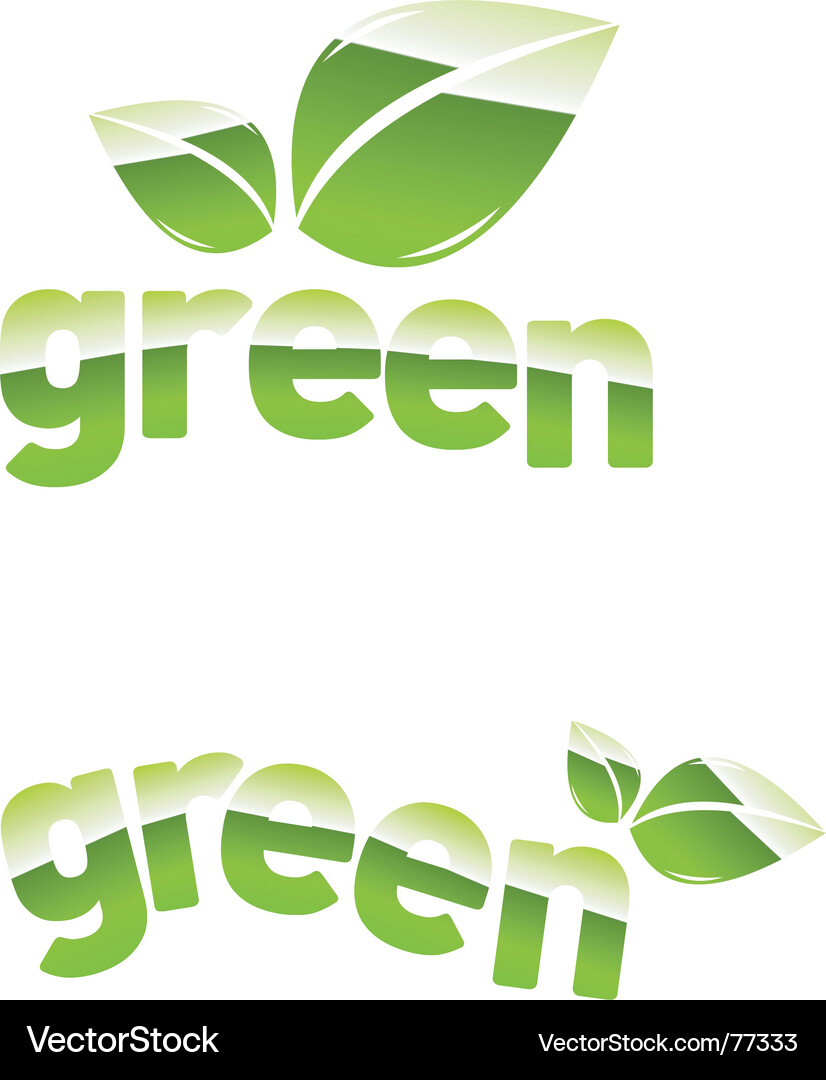 Green leaf Royalty Free Vector Image - VectorStock