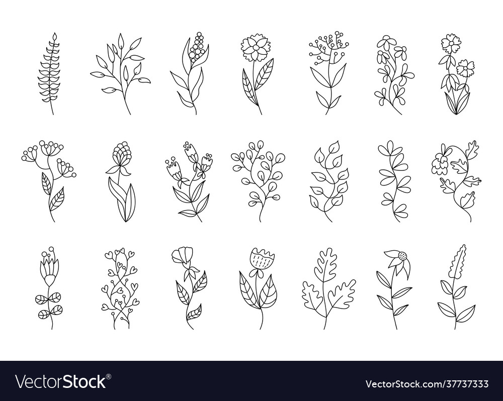 Set doodle flowers Royalty Free Vector Image - VectorStock