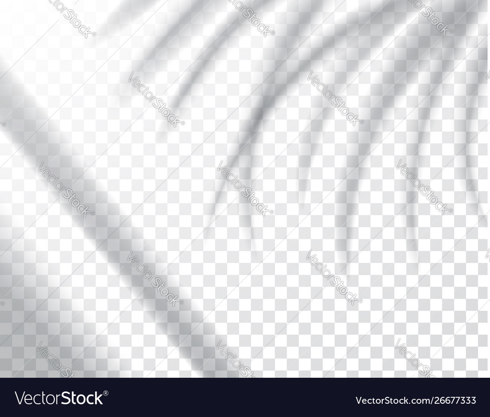 Shadows overlay effects mock up window frame vector image Shadows overlay effects mock up window frame