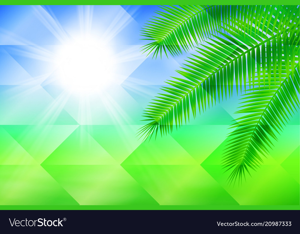 Sunny background with palm geometric