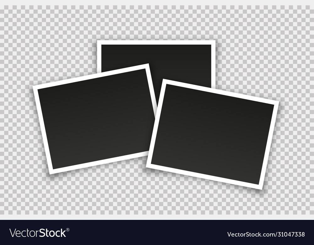 Empty photo frames isolated in trendy realistic Vector Image Empty photo frames isolated in trendy realistic