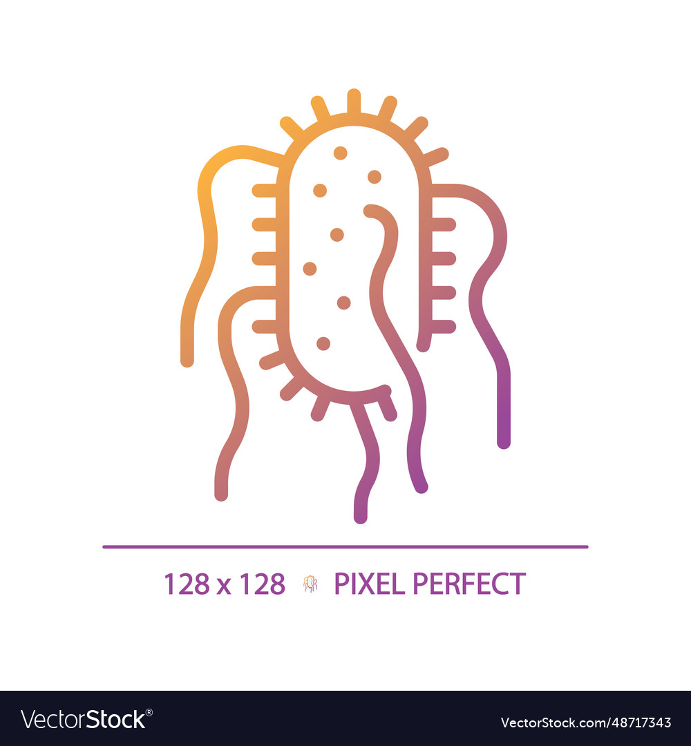 2d simple thin line gradient salmonella typhi icon vector image 2d simple thin line gradient salmonella typhi icon