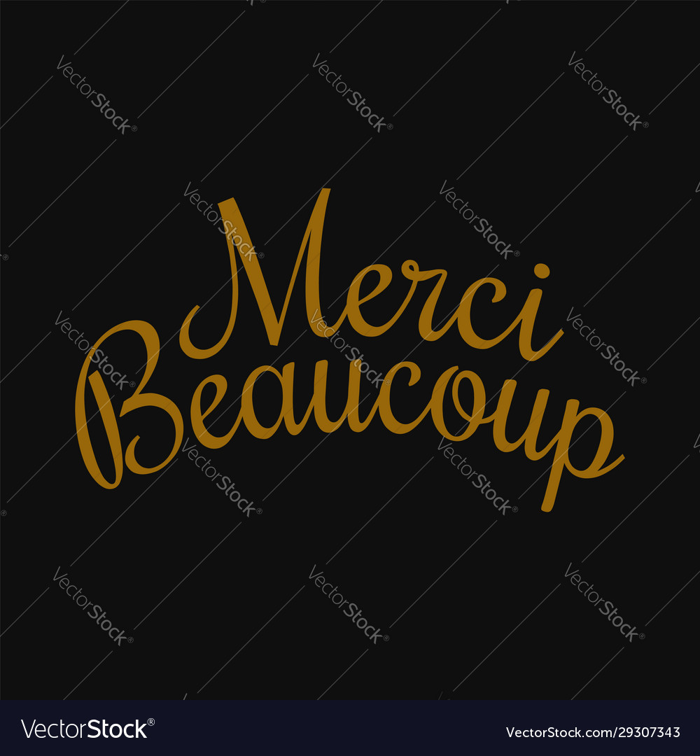 Merci Beaucoup - Thank You Very Much In French Greeting Card