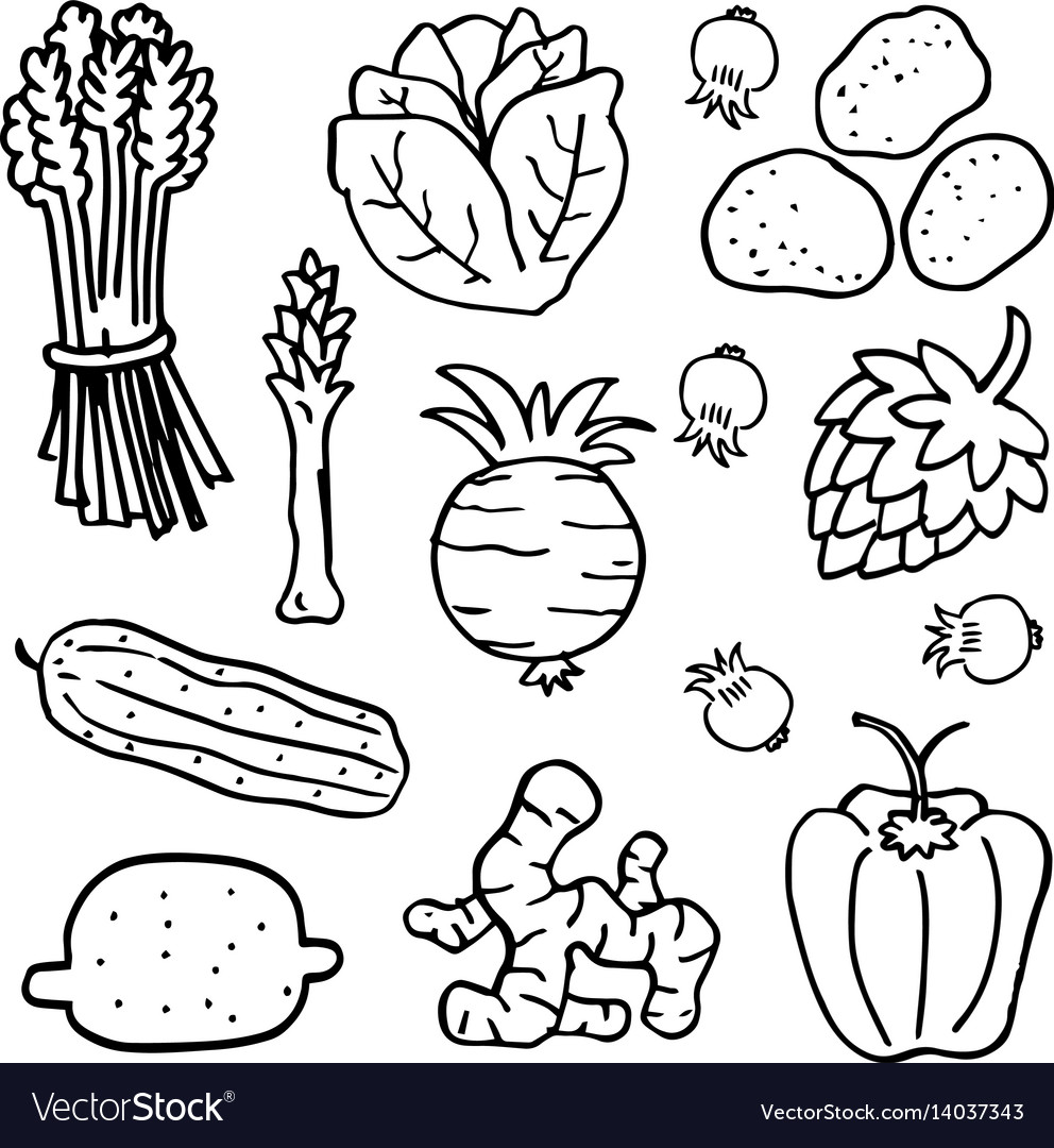 Various vegetable of doodles hand draw