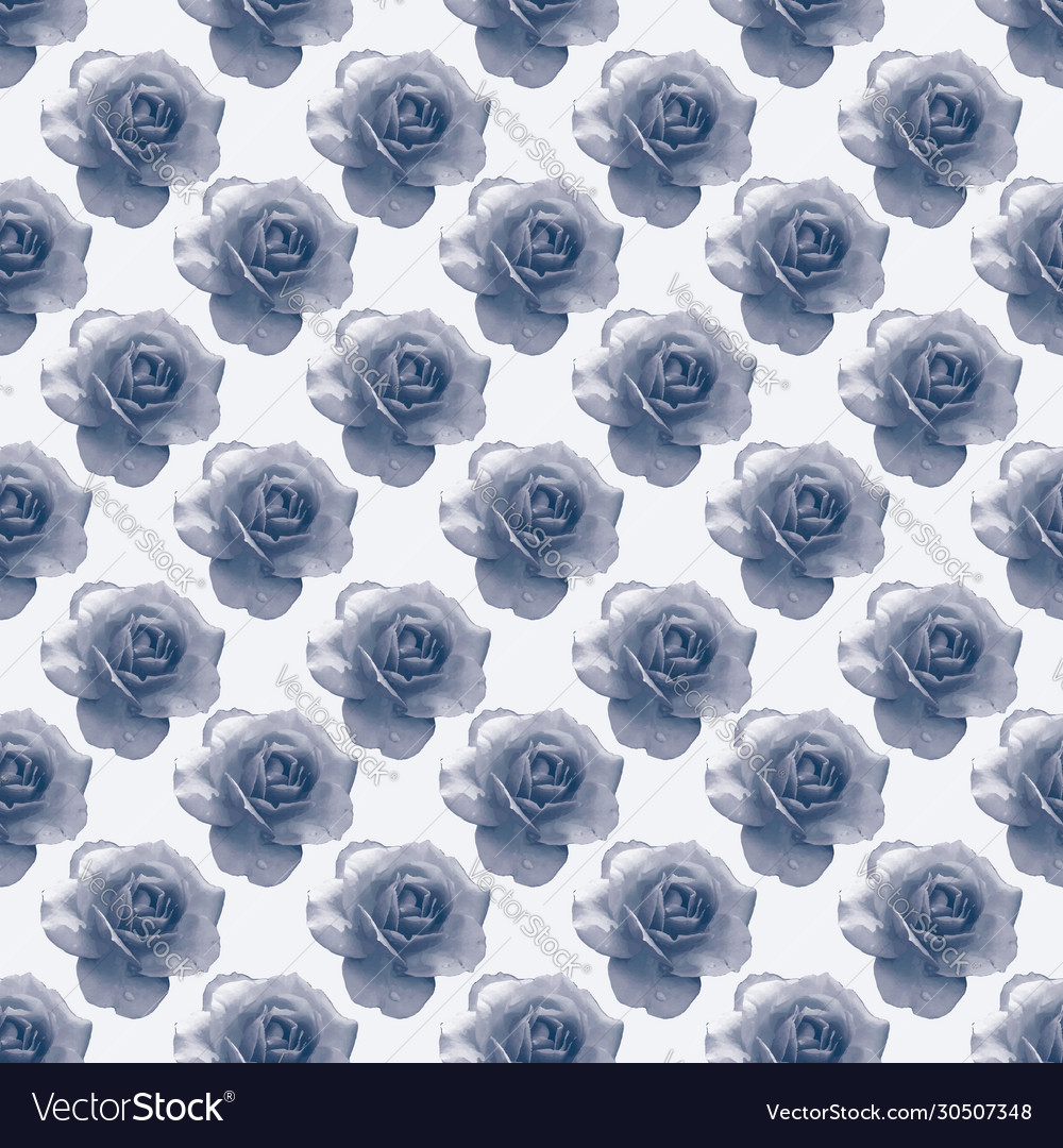 Blue roses on white background repeat pattern