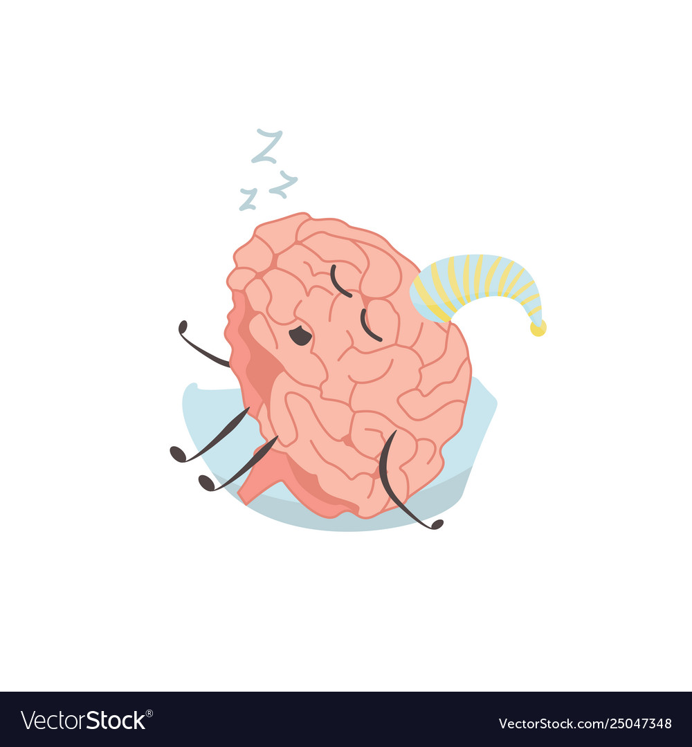 Brain characters sleeps resting exercises vector image Brain characters sleeps resting exercises