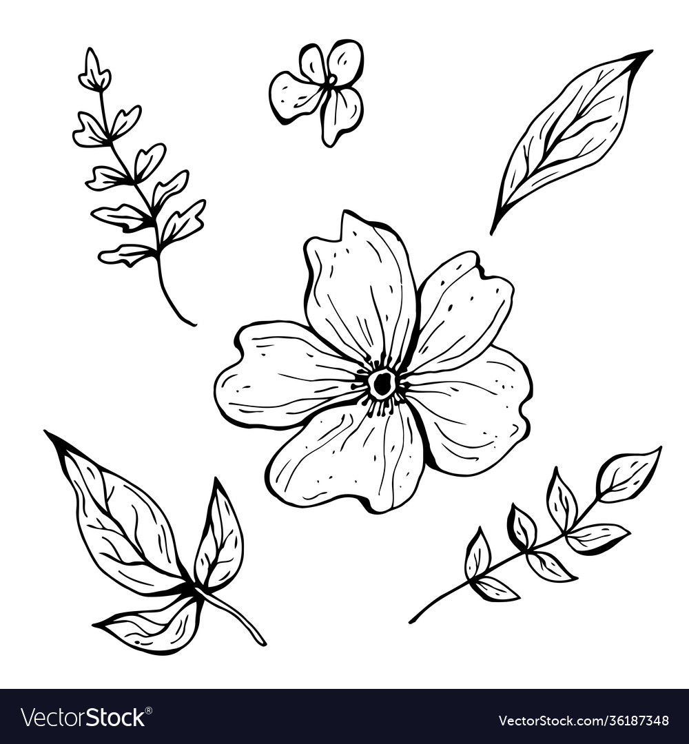 Flower doodle hand drawn Royalty Free Vector Image