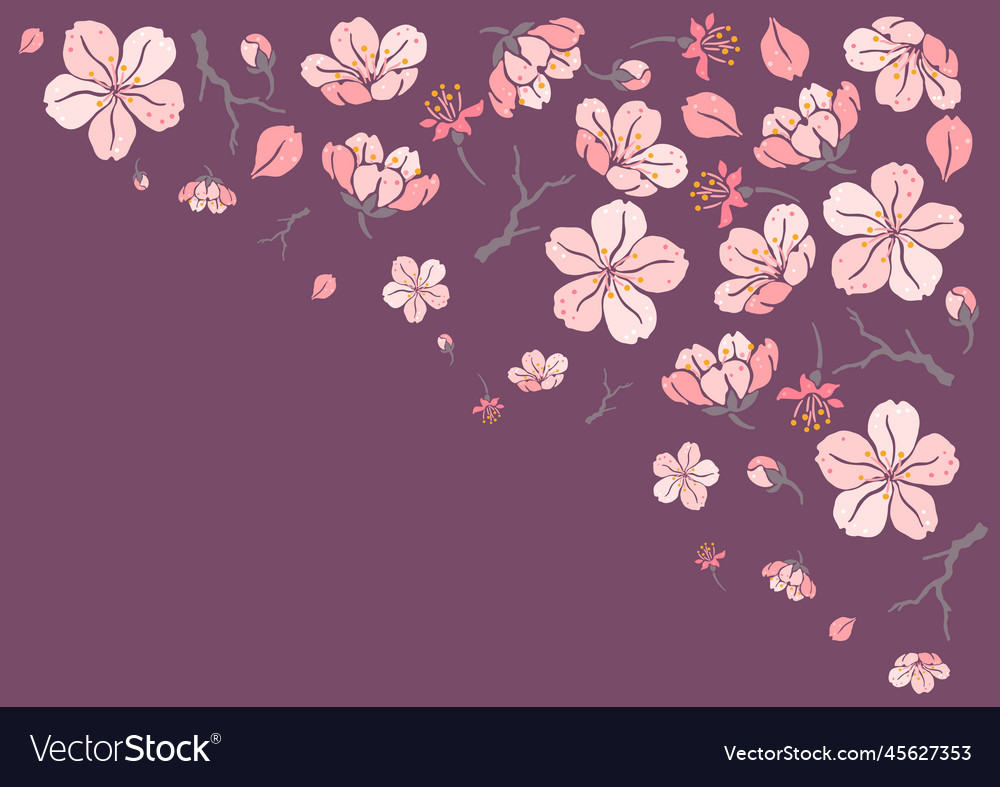 Background with sakura flowers beautiful vector image Background with sakura flowers beautiful