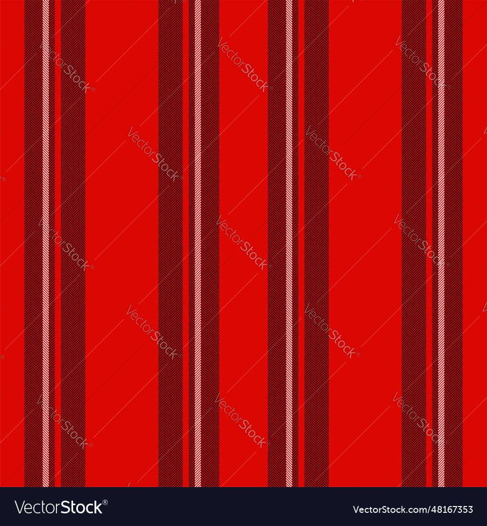 Vertical lines stripe pattern stripes background vector image Vertical lines stripe pattern stripes background