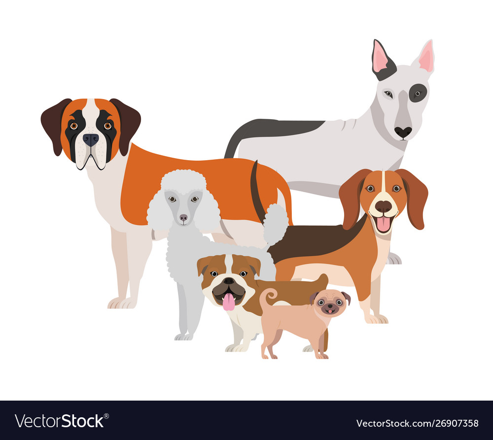 Set adorable dogs on white background Royalty Free Vector