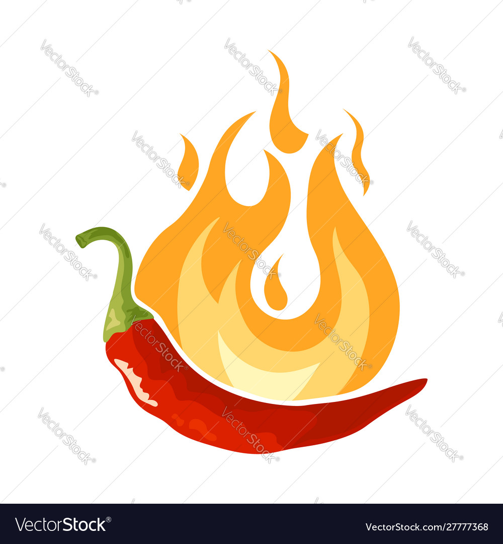 Chili pepper icon in flat style