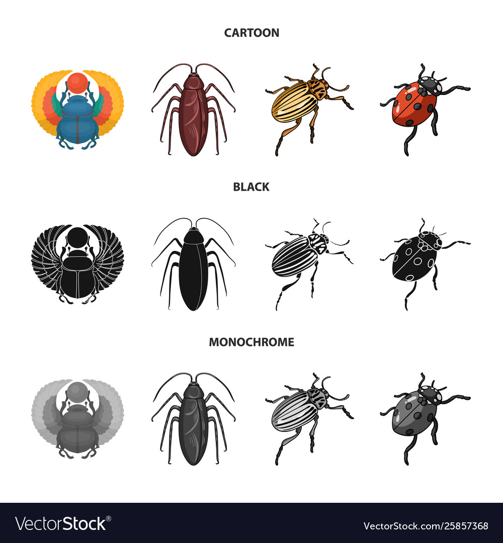 Isolated object insect and beetle symbol set