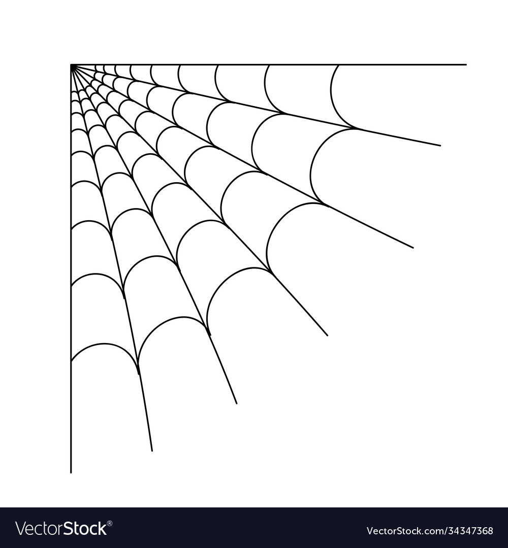 Spider web concept vector image Spider web concept