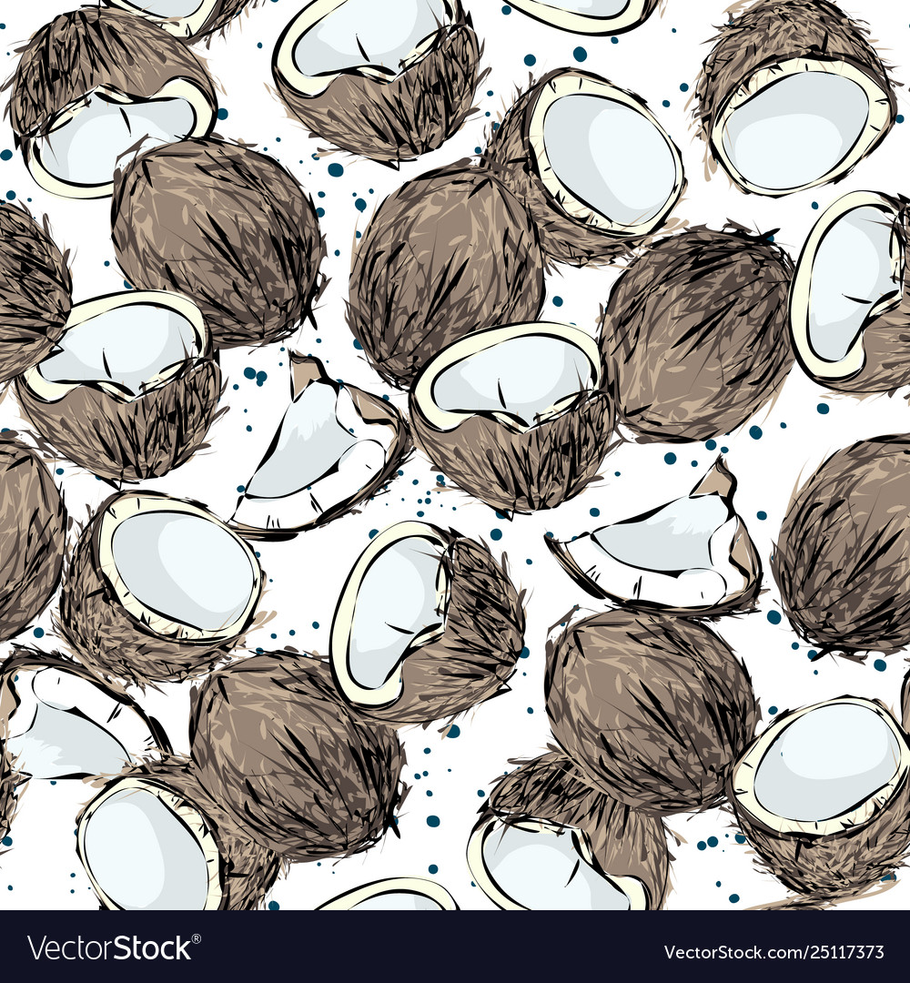 Coconuts seamless pattern vector image Coconuts seamless pattern