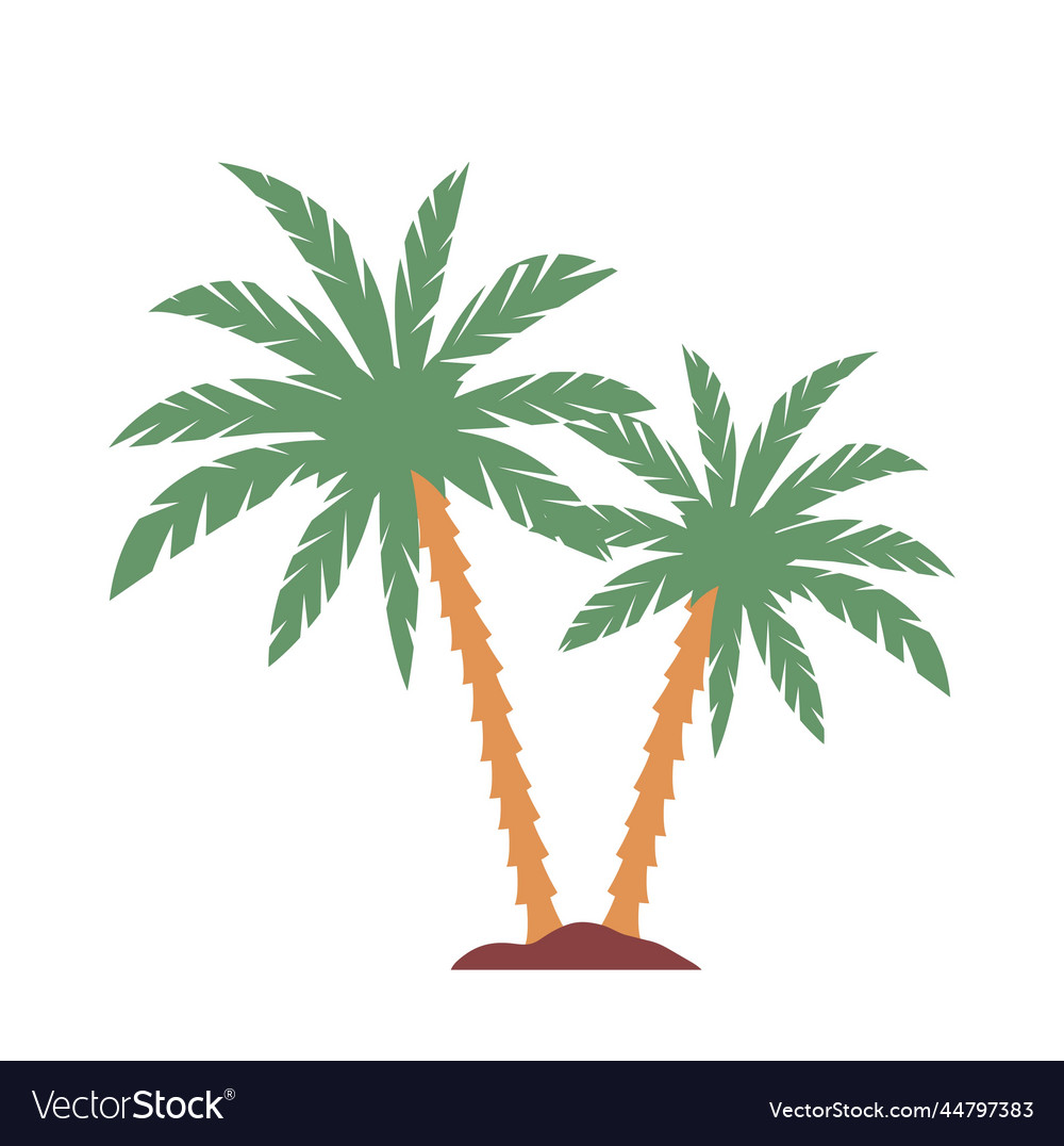 Colorful cuban element vector image Colorful cuban element