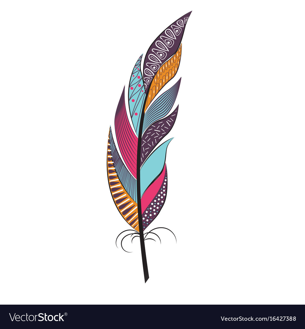 Colorful Feather with Intricate Patterns