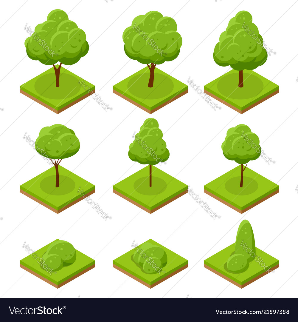 Isometric trees and bushes collection trees Vector Image
