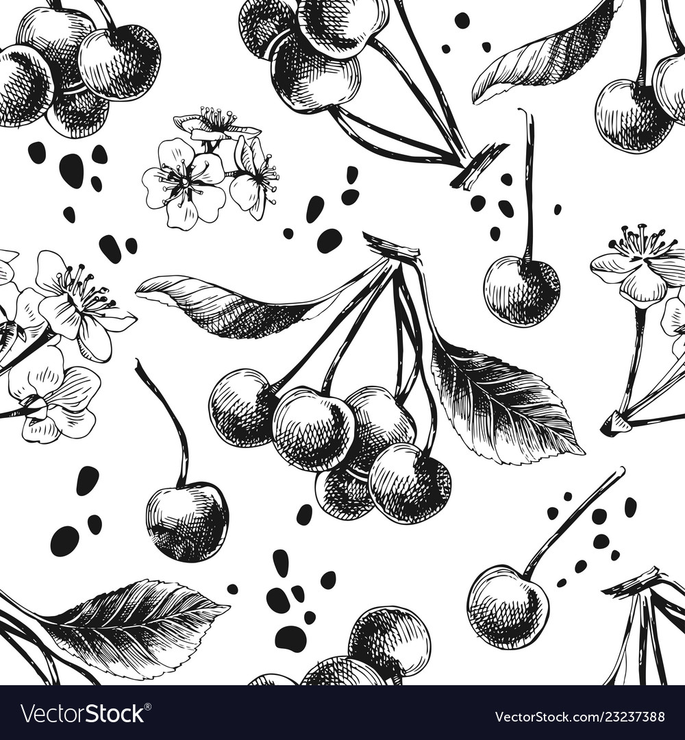 Seamless pattern with hand drawn cherries