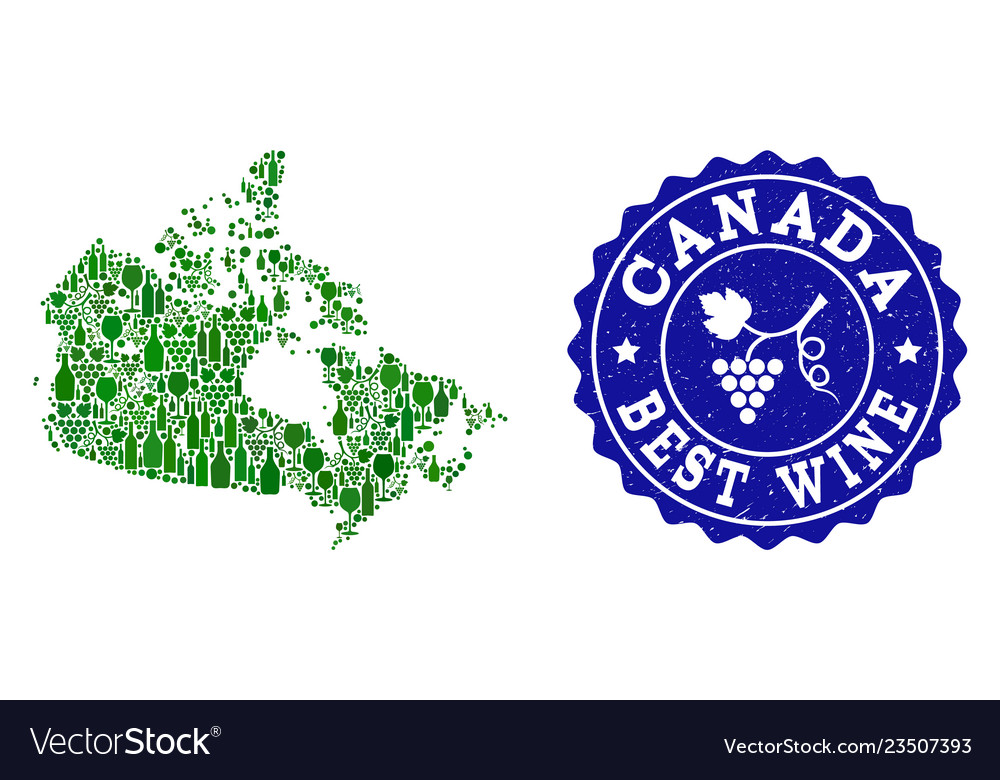 Composition of grape wine map of canada and best Vector Image