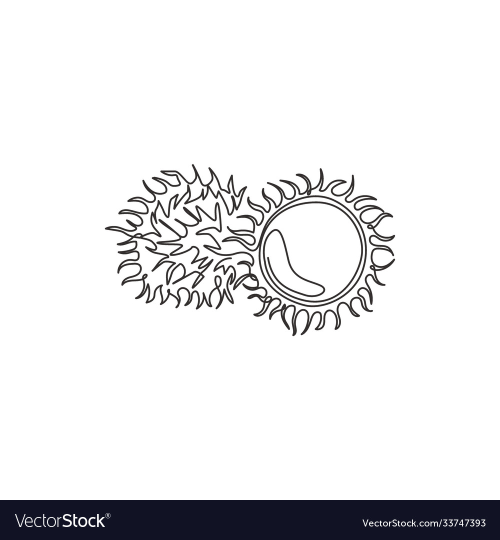 Single continuous line drawing whole and sliced