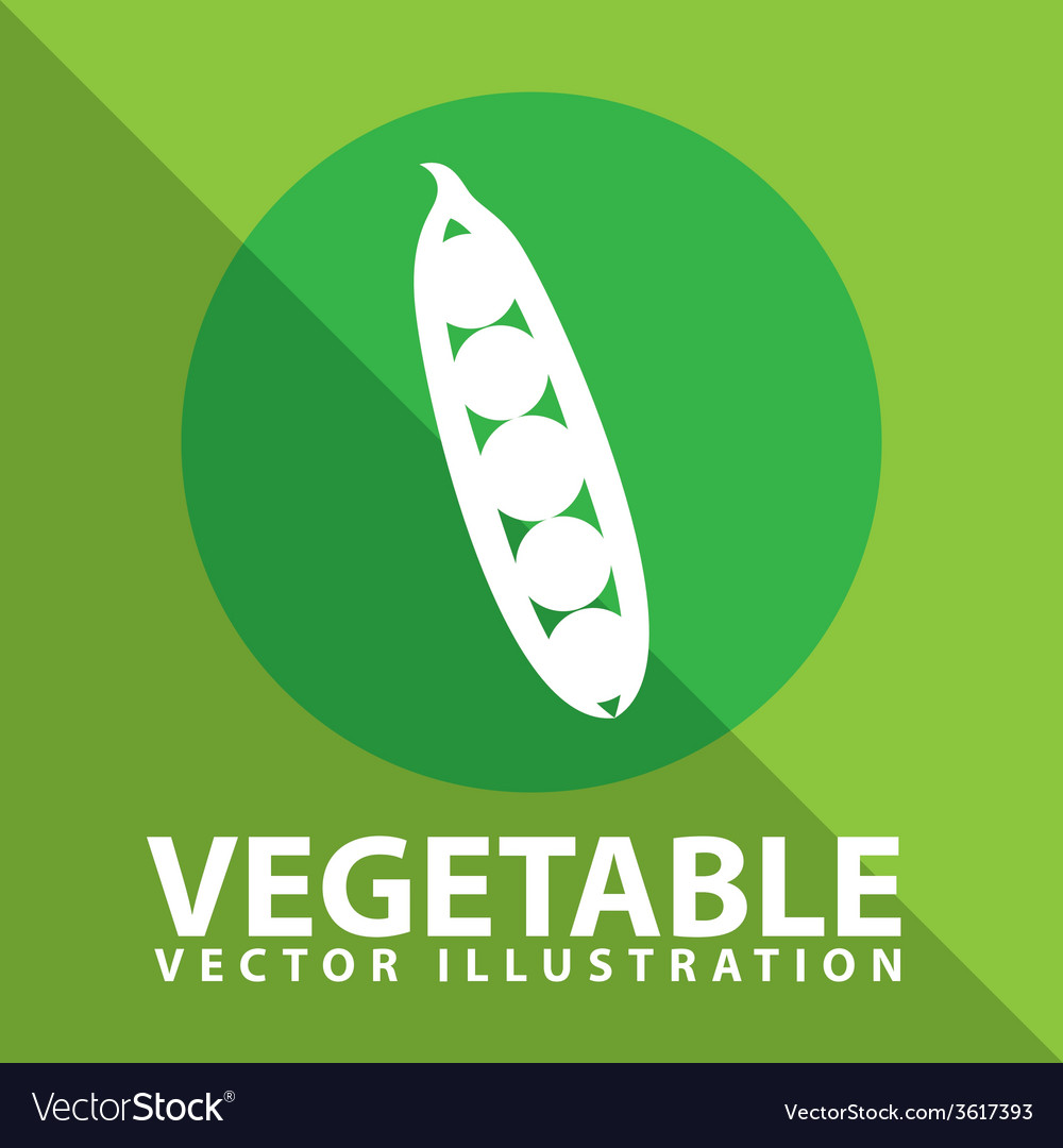 Vegetable