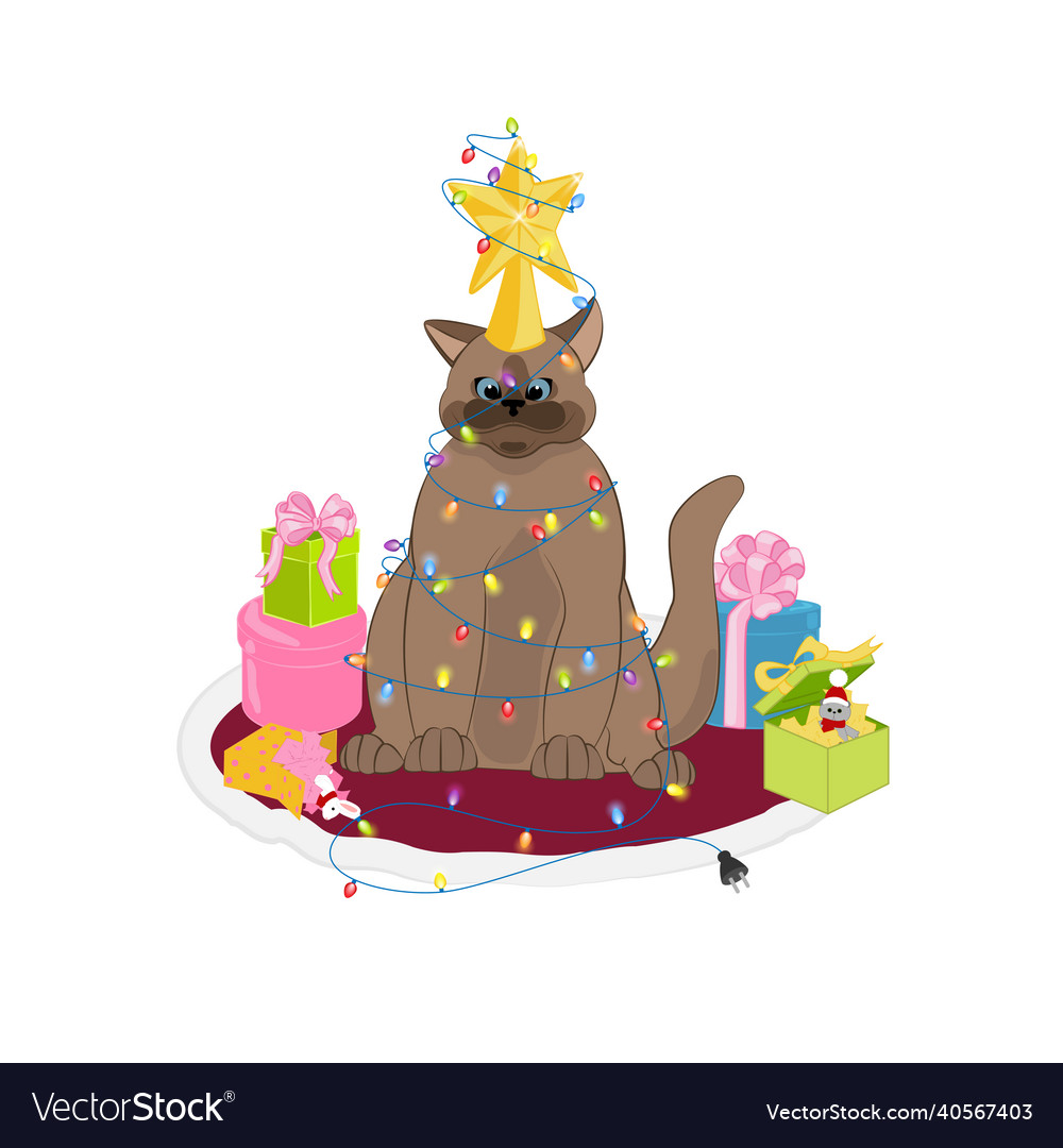 Cat wearing christmas lights as tree