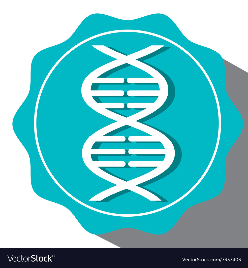 Dna structure icon