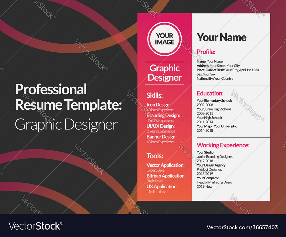 Graphic designer resume design template Royalty Free Vector