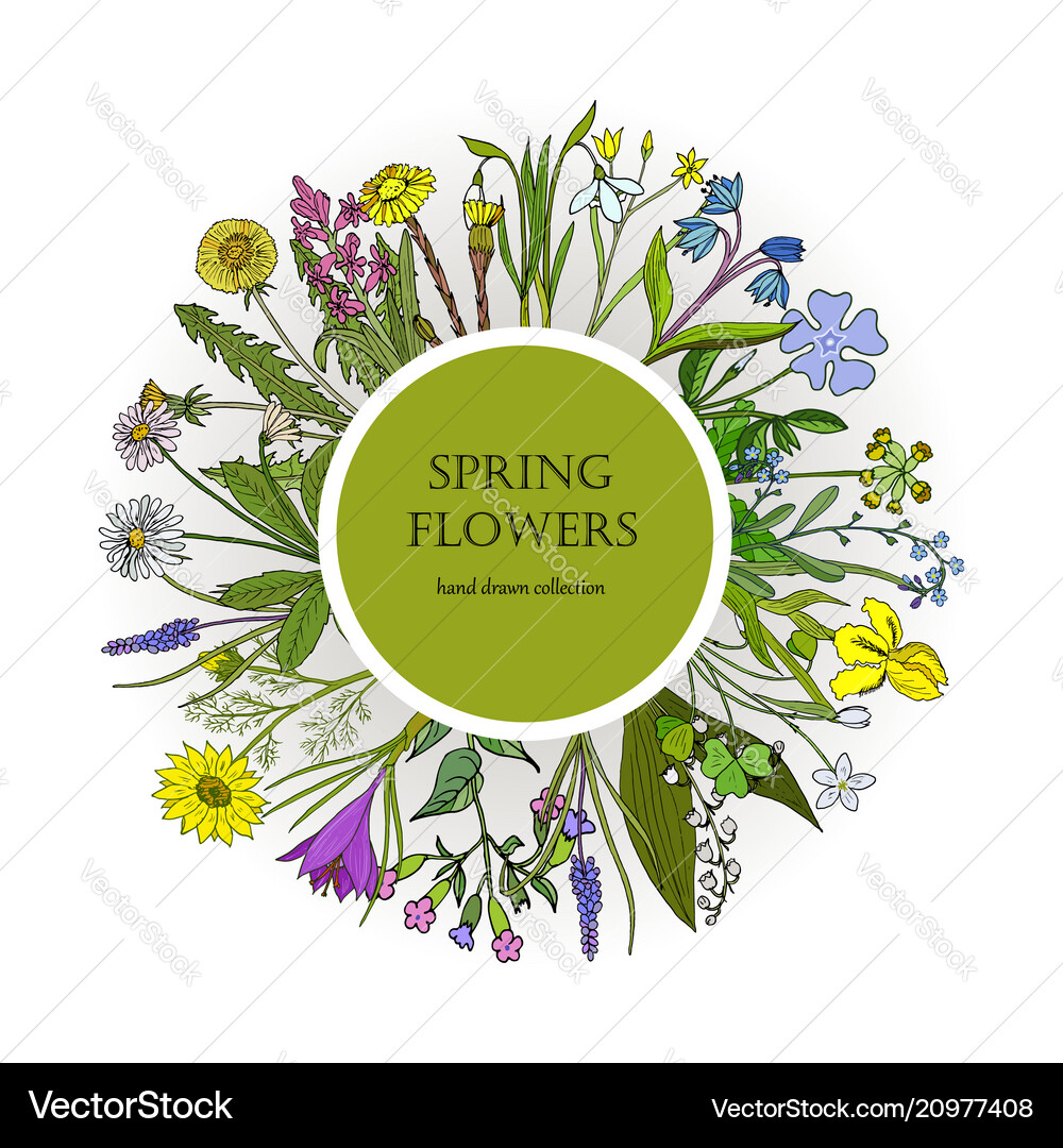 Spring flowers set Royalty Free Vector Image - VectorStock