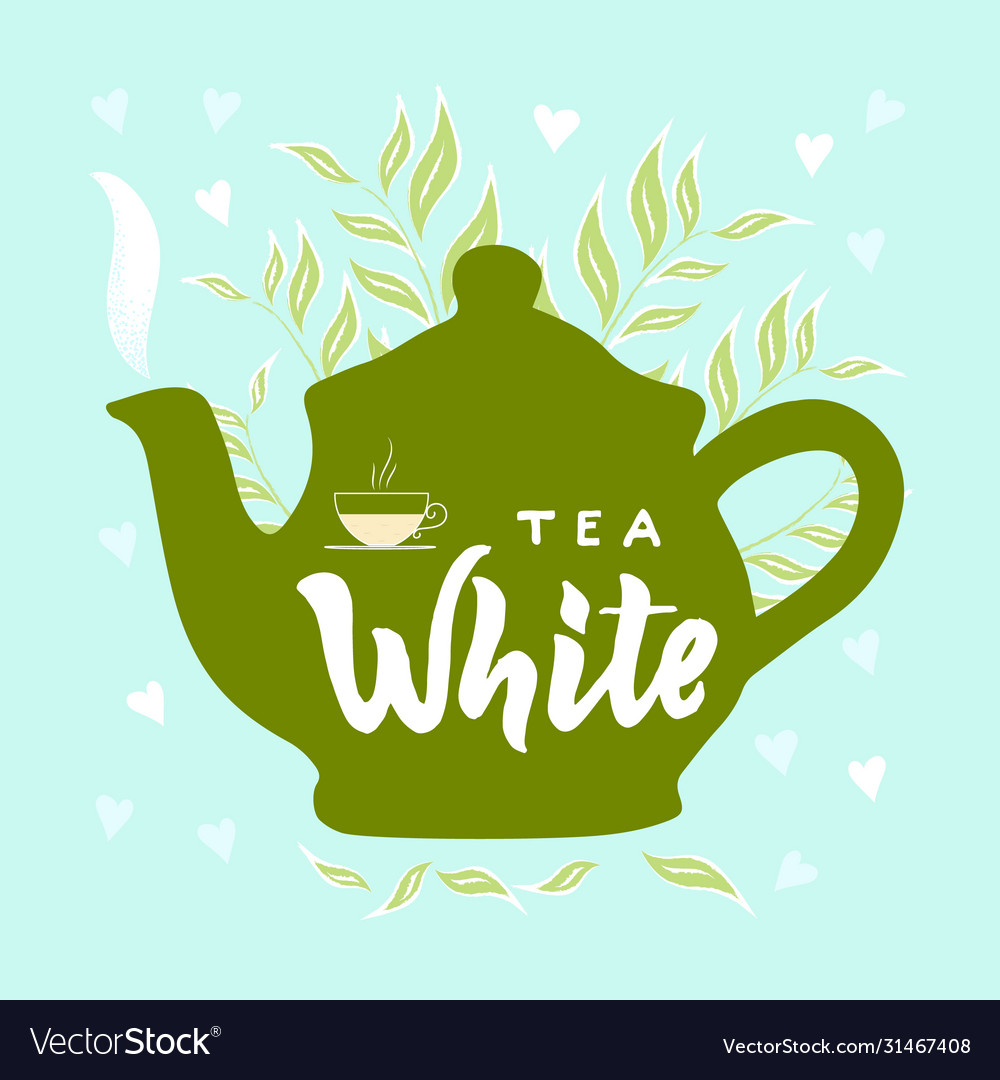 Template package with hand draw teapot text vector image Template package with hand draw teapot text