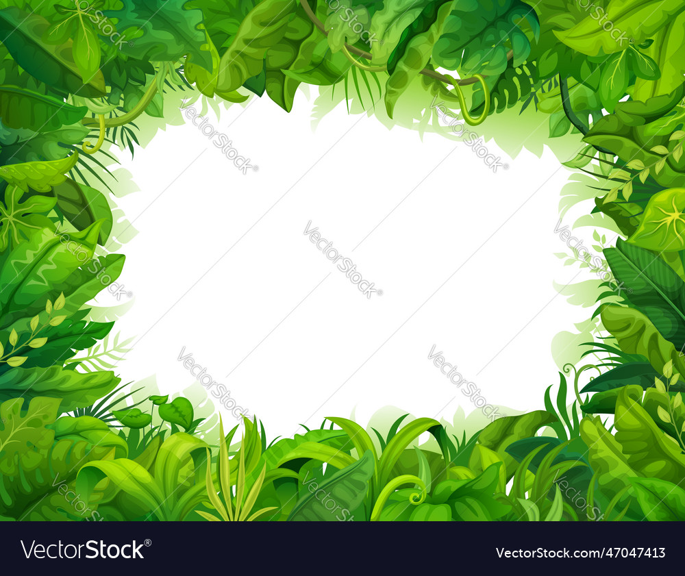 Cartoon jungle plants leaves frame or backdrop Vector Image