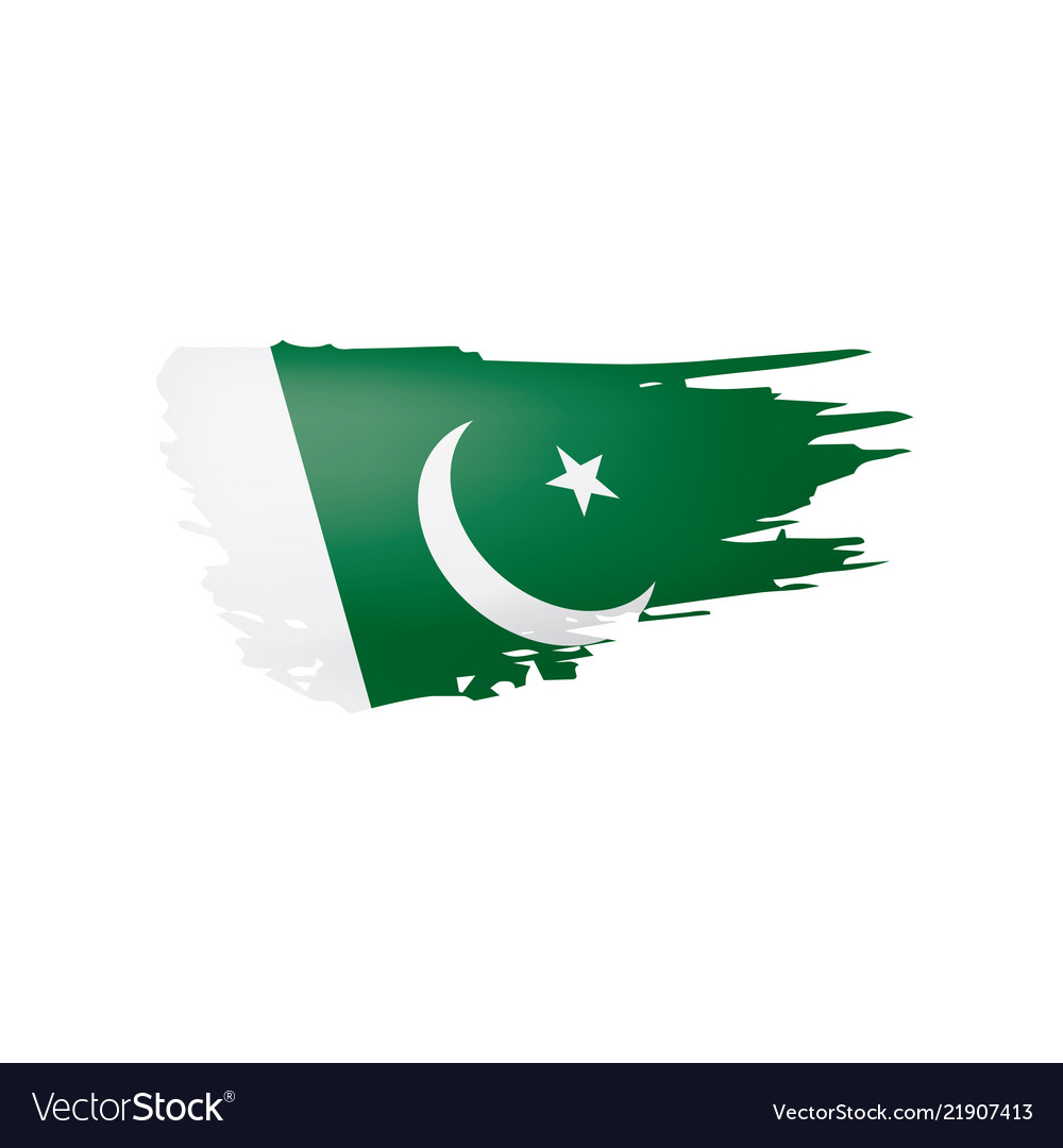 Pakistan flag on a white Royalty Free Vector Image