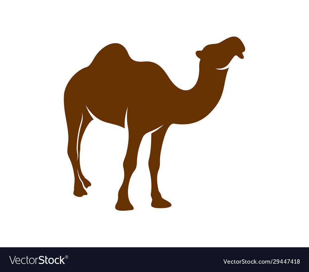 Camel logo animal graphic design template Vector Image Camel logo animal graphic design template Vector Image