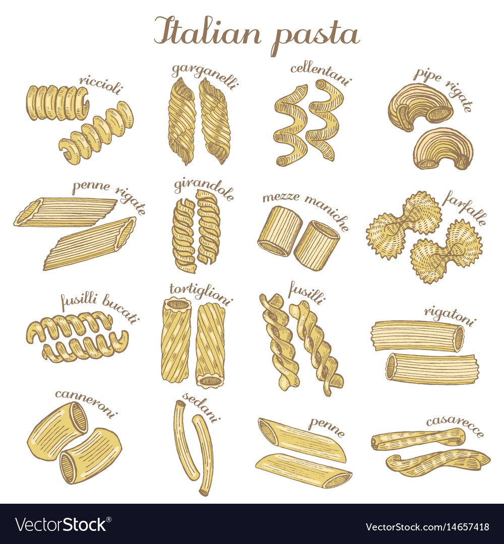 Set Colored Different Pasta Shapes Royalty Free Vector Image