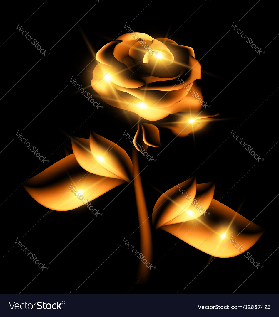 Darkness and golden fairy flower