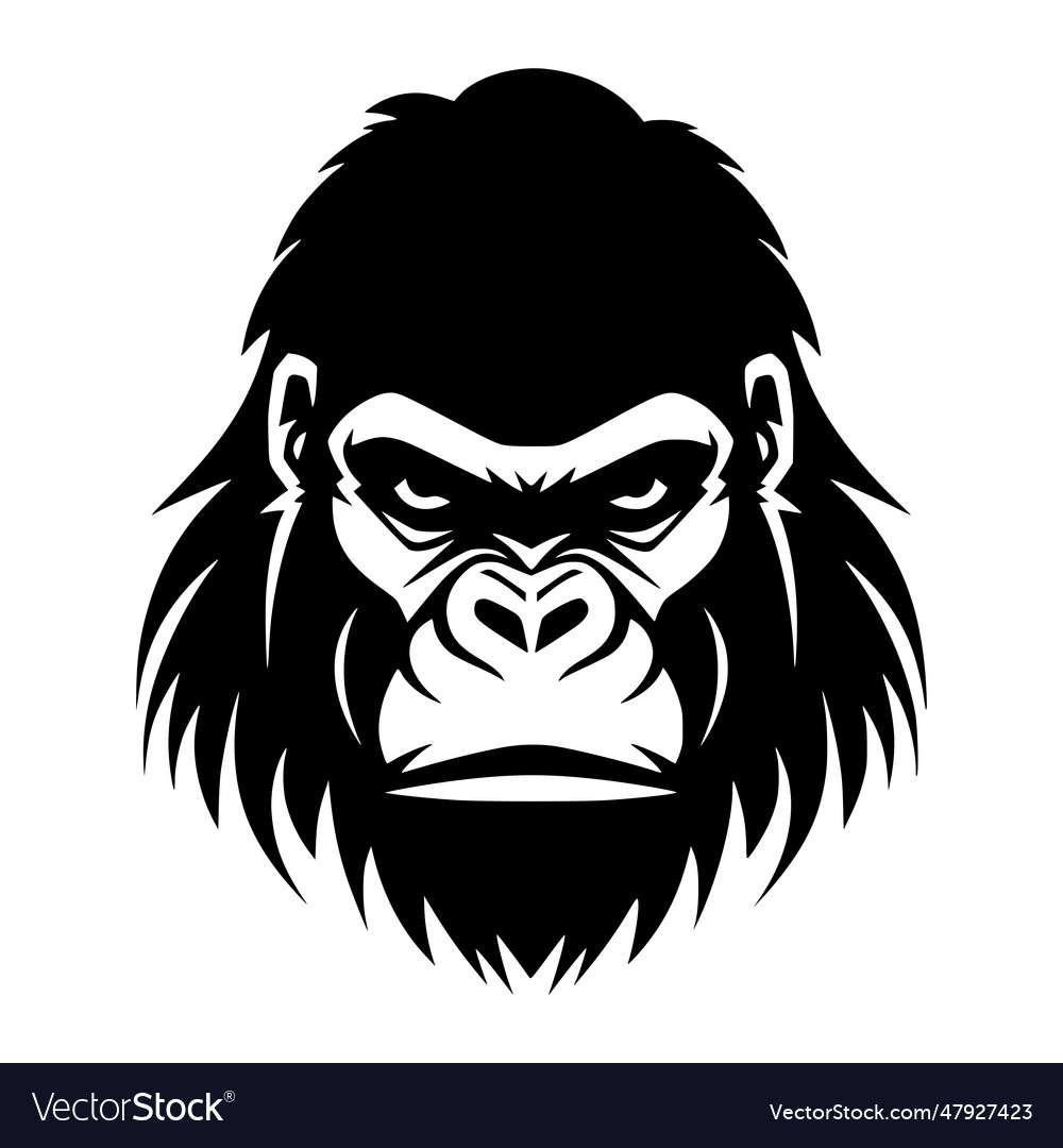 Gorilla head logo Royalty Free Vector Image - VectorStock