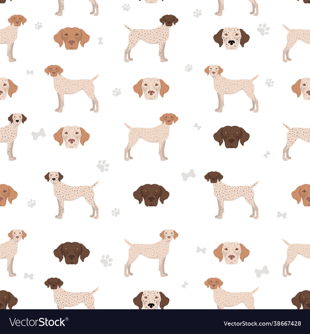 Bourbonnais pointer seamless pattern different vector image Bourbonnais pointer seamless pattern different