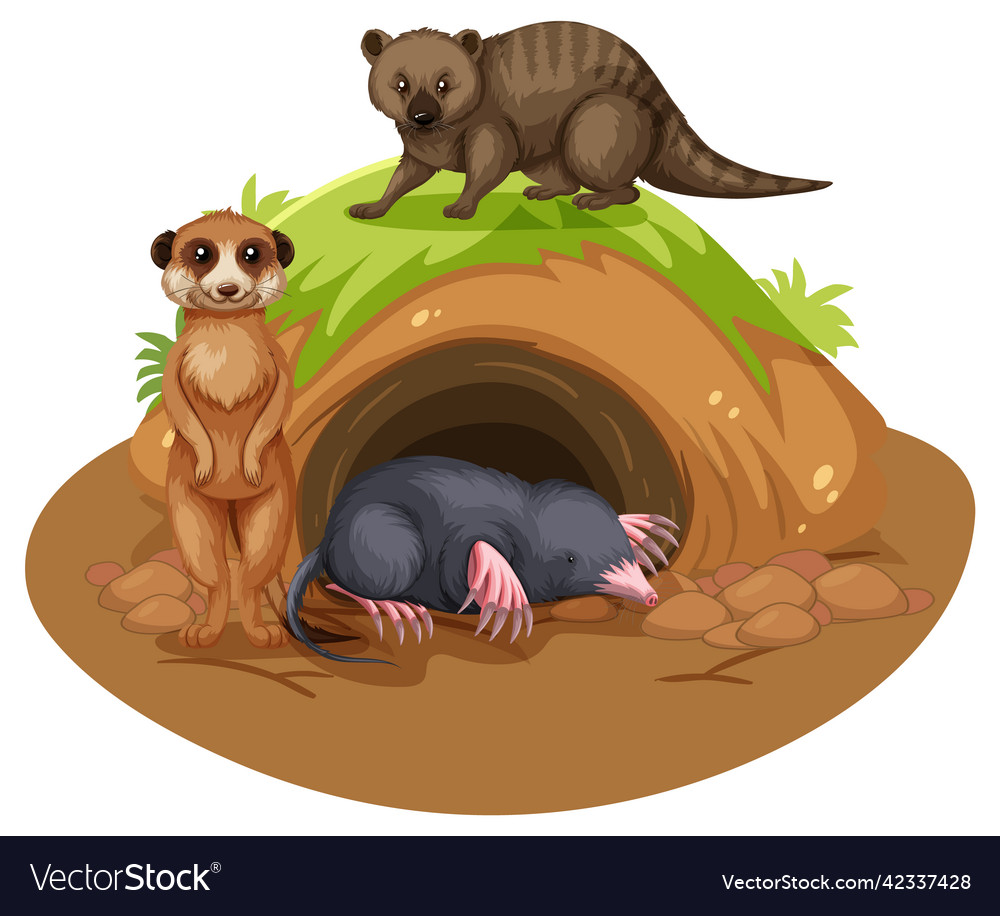 Wild animals cartoon character with burrow Vector Image