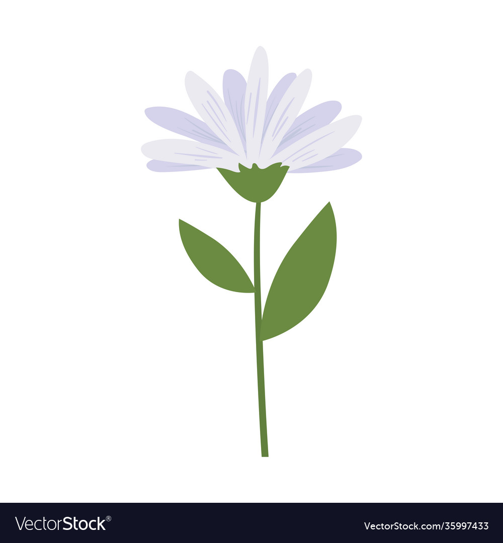 Flower with a white color Royalty Free Vector Image