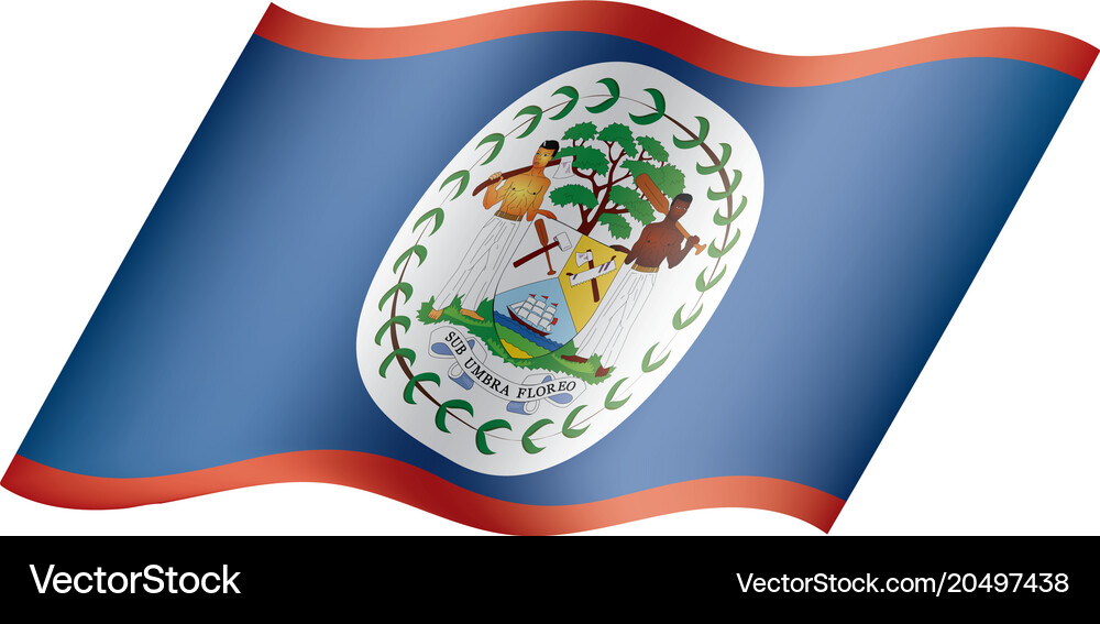 Belize flag Royalty Free Vector Image - VectorStock