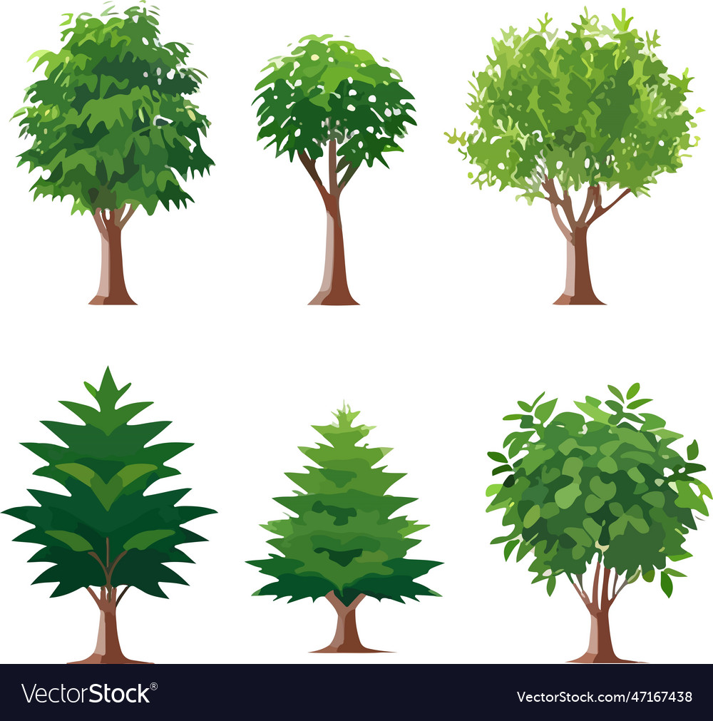 Extraordinary forest trees bushes plants art Vector Image