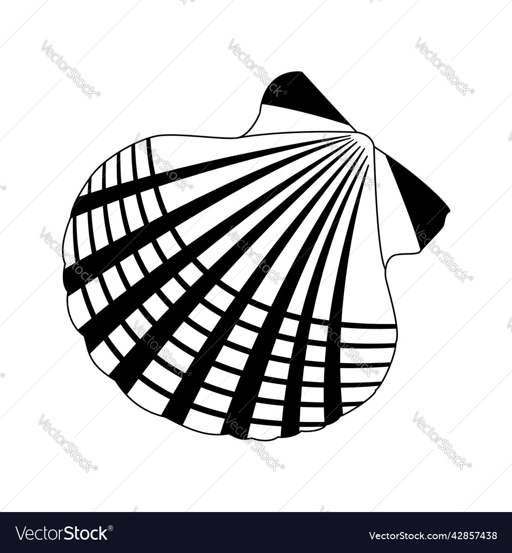 Image of a shell in doodle style isolated