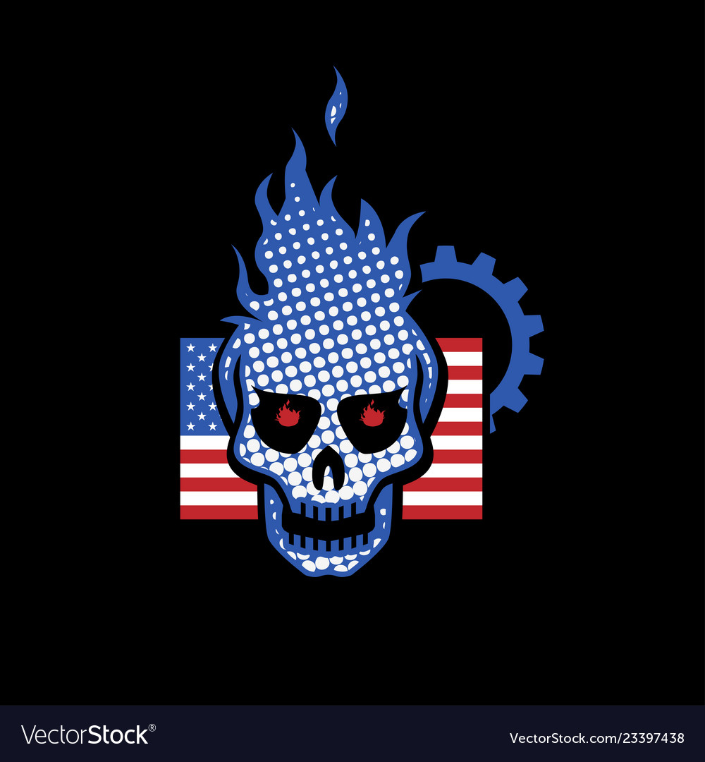 Skull with the usa flag