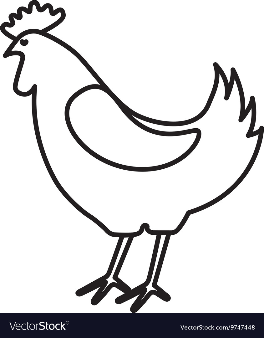 Chicken farm isolated icon design