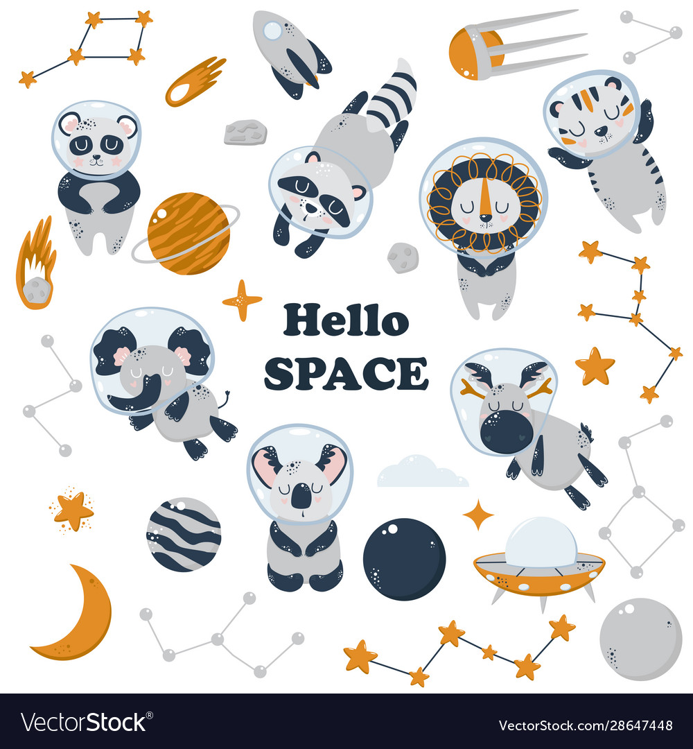 Set isolated animals and space elements