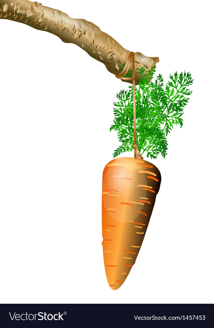 Carrot on a String